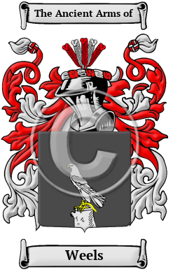 Weels Family Crest Download (JPG) Heritage Series - 600 DPI