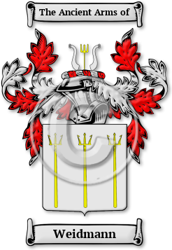 Weidmann Family Crest Download (jpg) Legacy Series - 150 DPI