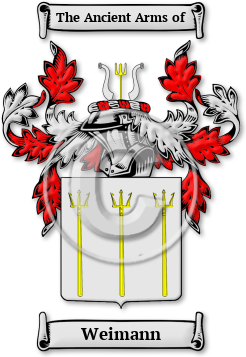 Weimann Family Crest Download (jpg) Legacy Series - 150 DPI