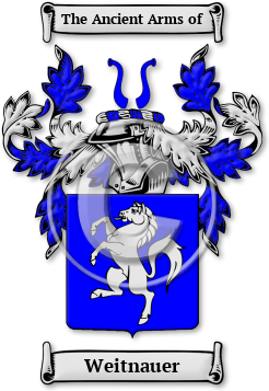 Weitnauer Family Crest Download (jpg) Legacy Series - 150 DPI