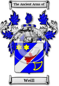 Weill Family Crest Download (jpg) Legacy Series - 150 DPI