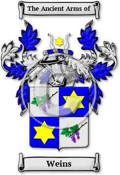 Weins Family Crest Download (JPG) Legacy Series - 600 DPI