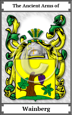 Wainberg Family Crest Download (JPG) Book Plated - 600 DPI