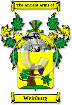 Weinburg Family Crest Download (jpg) Legacy Series - 150 DPI