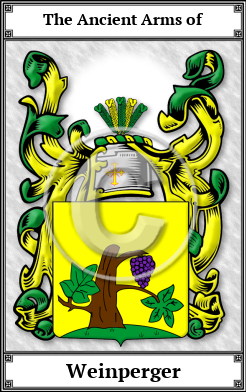 Weinperger Family Crest Download (JPG)  Book Plated - 150 DPI