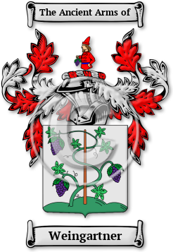 Weingartner Family Crest Download (jpg) Legacy Series - 150 DPI