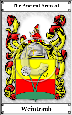 Weintraub Family Crest Download (JPG)  Book Plated - 150 DPI