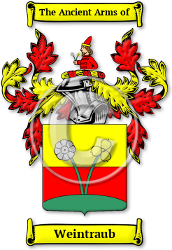 Weintraub Family Crest Download (jpg) Legacy Series - 150 DPI