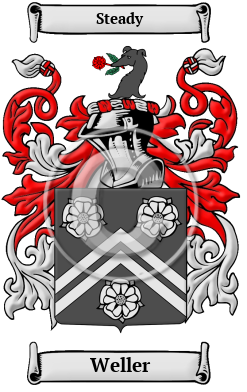 Weller Family Crest Download (JPG) Heritage Series - 600 DPI