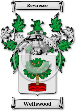 Wellswood Family Crest Download (jpg) Legacy Series - 150 DPI