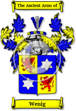 Wenig Family Crest Download (JPG) Legacy Series - 600 DPI