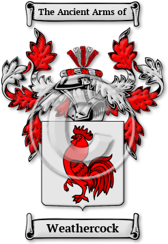 Weathercock Family Crest Download (jpg) Legacy Series - 150 DPI