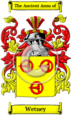 Wetney Family Crest Download (JPG) Heritage Series - 300 DPI