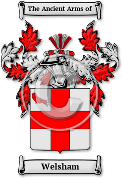 Welsham Family Crest Download (JPG) Legacy Series - 600 DPI