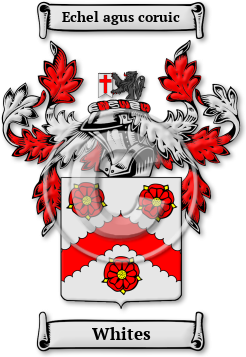 Whites Family Crest Download (jpg) Legacy Series - 150 DPI