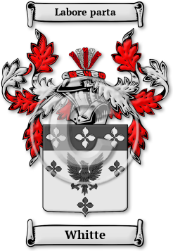 Whitte Family Crest Download (jpg) Legacy Series - 150 DPI