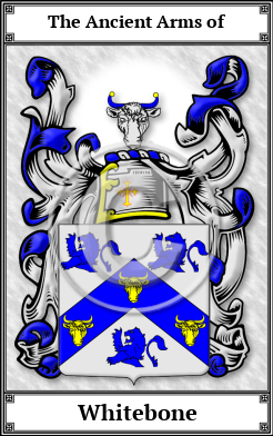 Whitebone Family Crest Download (JPG)  Book Plated - 150 DPI