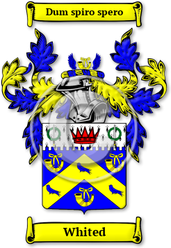 Whited Family Crest Download (jpg) Legacy Series - 150 DPI