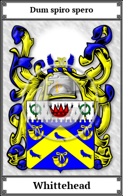 Whittehead Family Crest Download (JPG)  Book Plated - 150 DPI