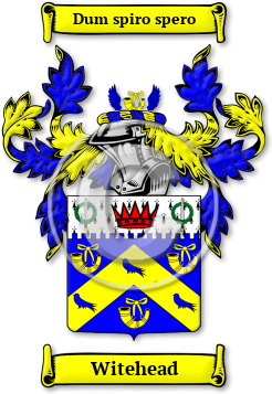 Witehead Family Crest Download (jpg) Legacy Series - 150 DPI