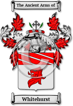 Whitehurst Family Crest Download (jpg) Legacy Series - 150 DPI