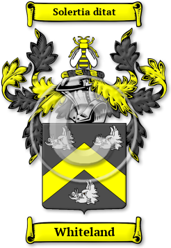 Whiteland Family Crest Download (jpg) Legacy Series - 150 DPI