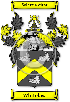 Whitelaw Family Crest Download (jpg) Legacy Series - 150 DPI