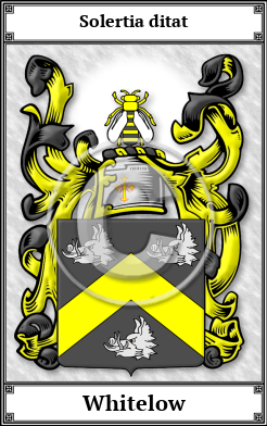 Whitelow Family Crest Download (JPG) Book Plated - 600 DPI