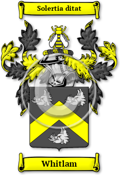 Whitlam Family Crest Download (jpg) Legacy Series - 150 DPI