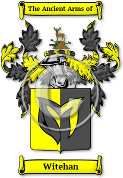 Witehan Family Crest Download (jpg) Legacy Series - 150 DPI