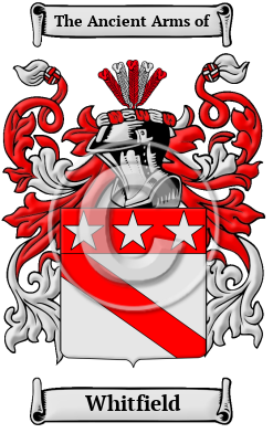 Whitfield Family Crest Download (JPG) Heritage Series - 600 DPI