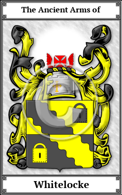 Whitelocke Family Crest Download (JPG) Book Plated - 600 DPI