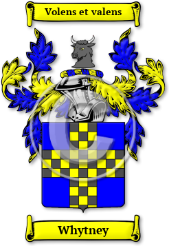 Whytney Family Crest Download (jpg) Legacy Series - 150 DPI