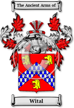 Wital Family Crest Download (jpg) Legacy Series - 150 DPI