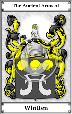 Whitten Family Crest Download (JPG)  Book Plated - 150 DPI