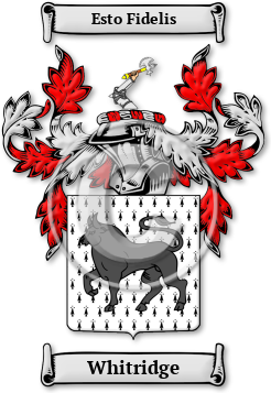 Whitridge Family Crest Download (JPG) Legacy Series - 600 DPI