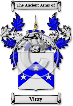Vitay Family Crest Download (JPG) Legacy Series - 600 DPI