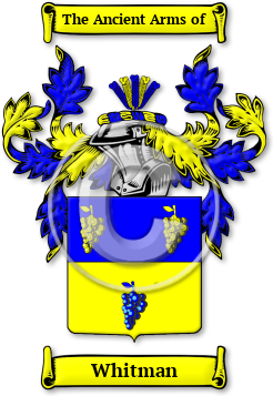 Whitman Family Crest Download (jpg) Legacy Series - 150 DPI