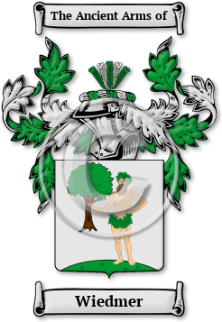 Wiedmer Family Crest Download (jpg) Legacy Series - 150 DPI