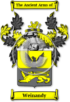 Weinandy Family Crest Download (jpg) Legacy Series - 150 DPI