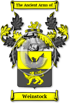 Weinstock Family Crest Download (JPG) Legacy Series - 600 DPI