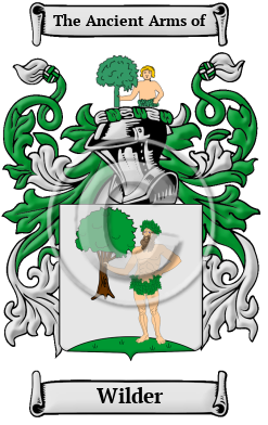 Wilder Family Crest Download (JPG) Heritage Series - 600 DPI