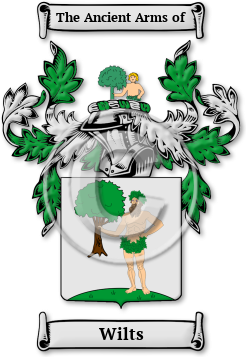 Wilts Family Crest Download (jpg) Legacy Series - 150 DPI
