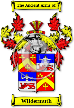 Wildermuth Family Crest Download (jpg) Legacy Series - 150 DPI