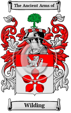 Wild Name Meaning, Family History, Family Crest & Coats of Arms, German
