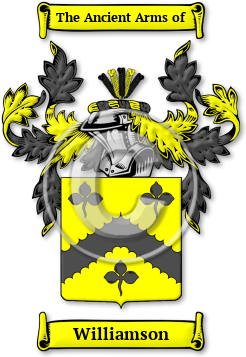 Williamson Family Crest Download (JPG) Legacy Series - 300 DPI