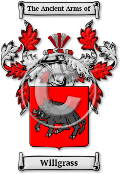 Willgrass Family Crest Download (jpg) Legacy Series - 150 DPI