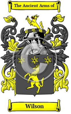 Wilson Family Crest Download (JPG) Heritage Series - 600 DPI