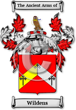 Wildens Family Crest Download (jpg) Legacy Series - 150 DPI