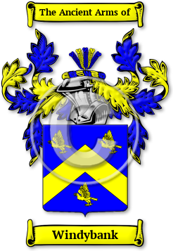 Windybank Family Crest Download (JPG) Legacy Series - 600 DPI